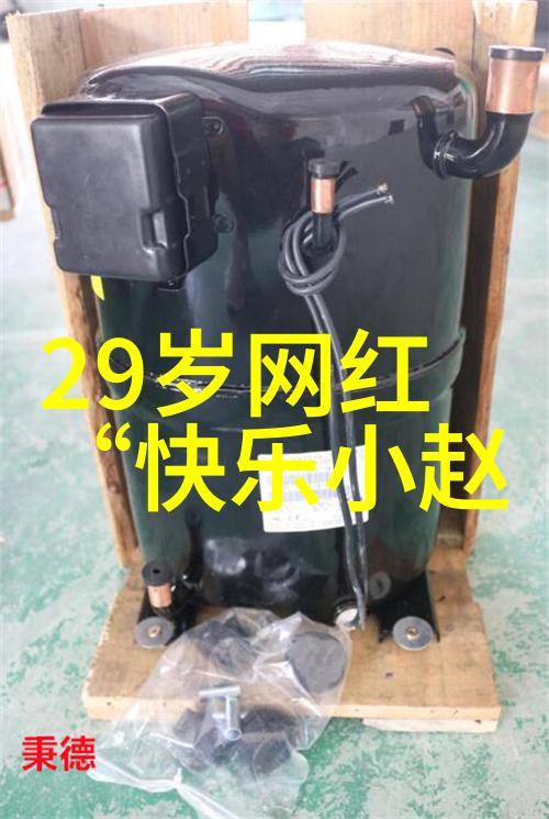 智慧碰撞跨国大赛揭秘