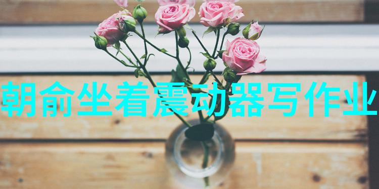 欧美写真捕捉时尚与美的交汇点