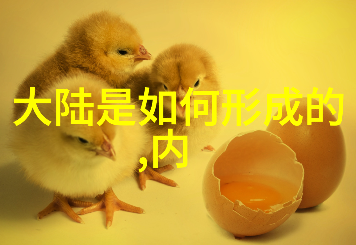 中国顶尖自主划线高等教育机构深度探索34所自主划线院校的学术成就与未来展望