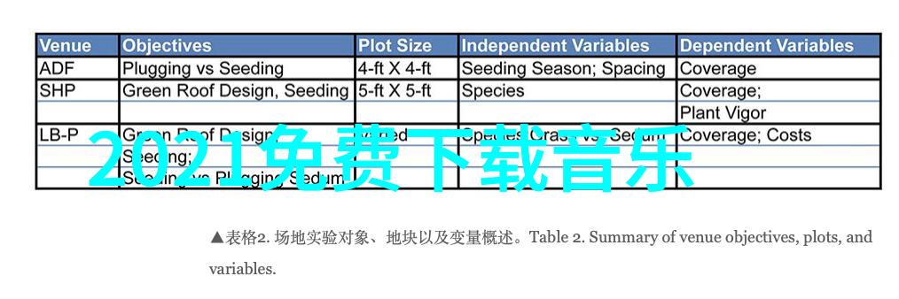 光影绘卷2019年最美的中文电影盛宴