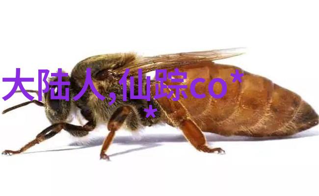 月亮和他有秘密1v1我与那轮银白巨星的私密对话