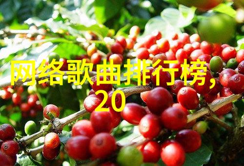 正大综艺探索多元文化的节目世界