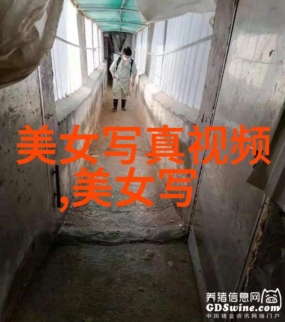 国模燕子翱翔天际的中国象征