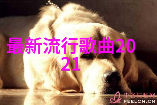 深夜的点击手机上的神秘音乐之门