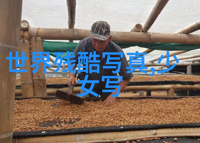 探究今日头条极速版下载现象自由信息获取的边界与隐私保护问题