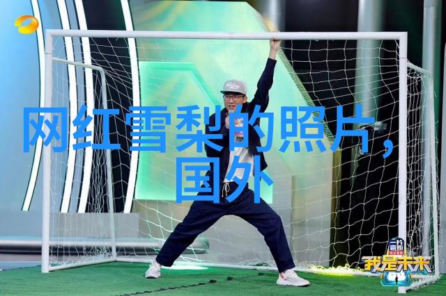 探索数字世界3345的技术革命