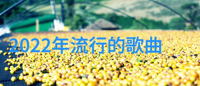 广东新闻独家张震耀眼亮相第23台北电影奖墨绿西装展现成熟魅力