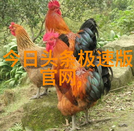 未来展望王洋眼中的行业趋势与挑战