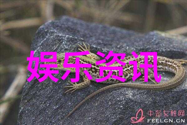 那英宣布退出娱乐圈了亲爱的粉丝们你们还记得她曾经那个闪耀的舞台吗