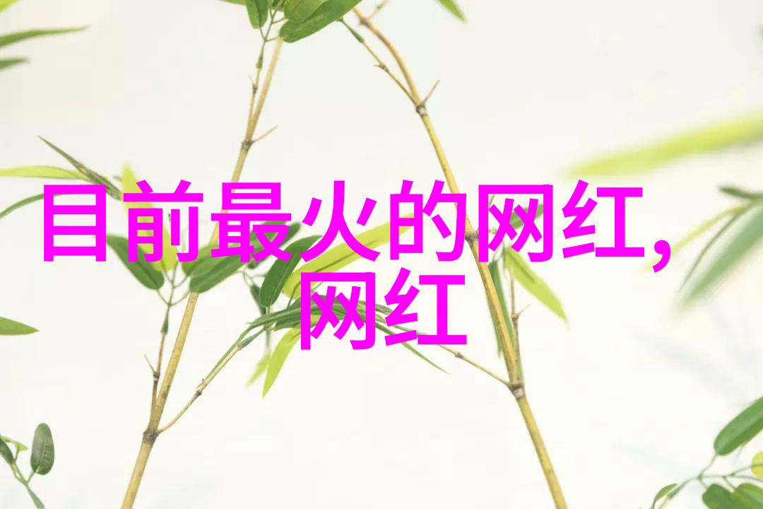 网红经济的分类阿利松是世界第一门将吗(世界现役最牛门将盘点)
