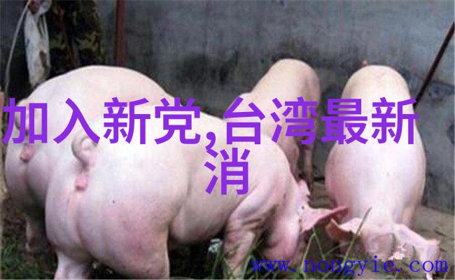 韩国综艺节目Running Man的无限魅力与文化影响