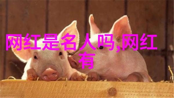 学好易经有什么用我是如何从中获得智慧的