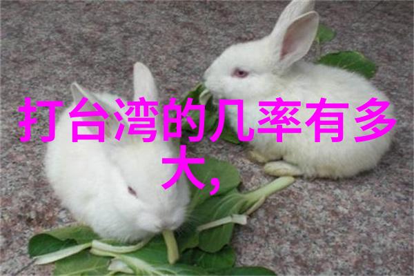 韩国电影中的表妹形象探究家族关系与社会变迁的反映