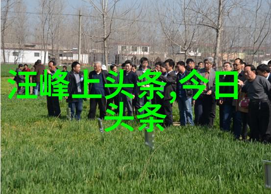 壹心娱乐惊人举动王杰克逊的墨竹之舞在日本掀起艺术界风波深得大师们的赞赏与敬佩