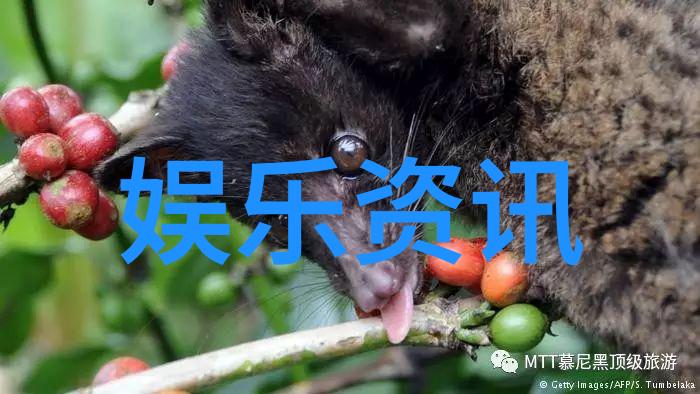 娱乐场所管理办法我来告诉你怎么在夜总会里不被吓倒