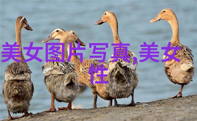 一般人不要碰易经别动我老爸的经典这事儿你懂吗