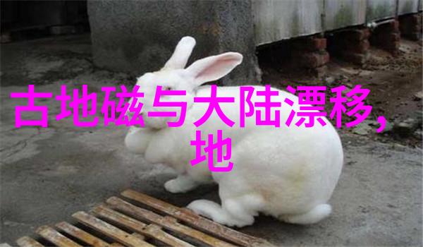 网红摩托车手重庆隧道内不幸身亡社交媒体哀悼