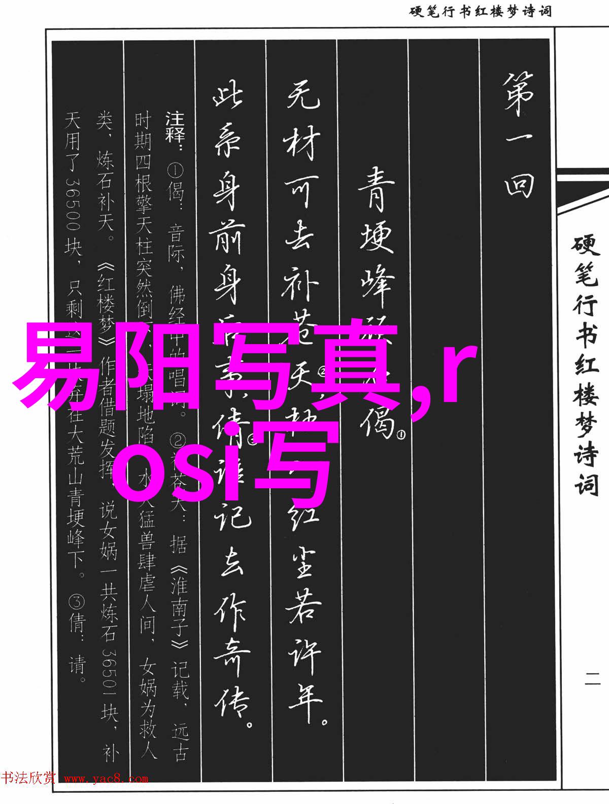 最美中文字幕国语电影华丽演技与精致画面