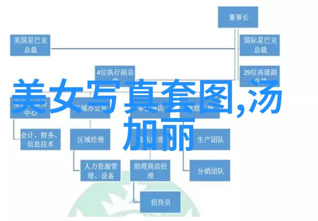 综艺大咖汇聚笑声与挑战的无限秀场