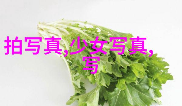 高以翔在哪个综艺节目消失了