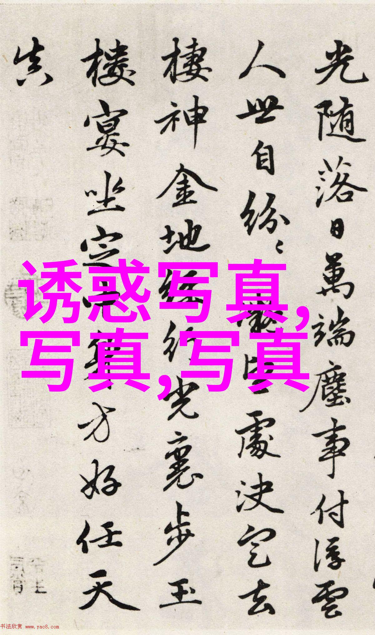世界上的另一个我探寻双胞胎间深邃情感的电视剧