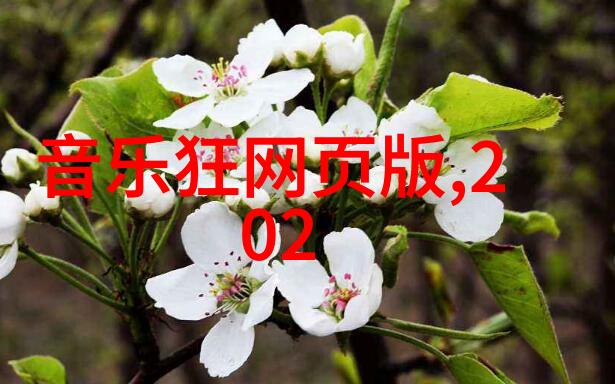 张紫妍被大佬走旱路细节她是怎么忍心让他在旱季里步行数十里