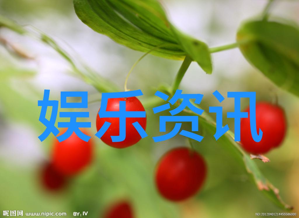 西出玉门小说我和我的驯兽师在沙漠的奇遇