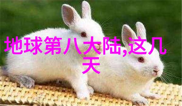 百度图片识物新时代智能技术的飞跃与应用前景