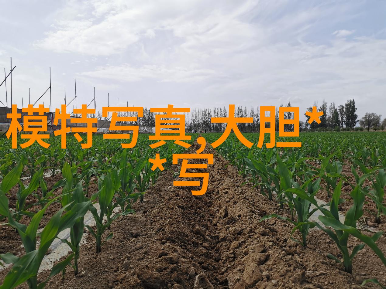 解读五行八卦运转图秘密与智慧的编织