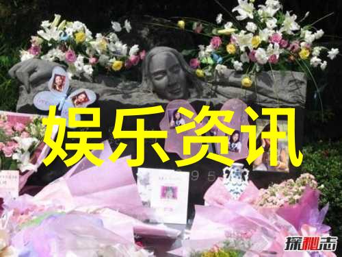 雪国列车中的冰冷与温暖解读朴赞郁的作品世界
