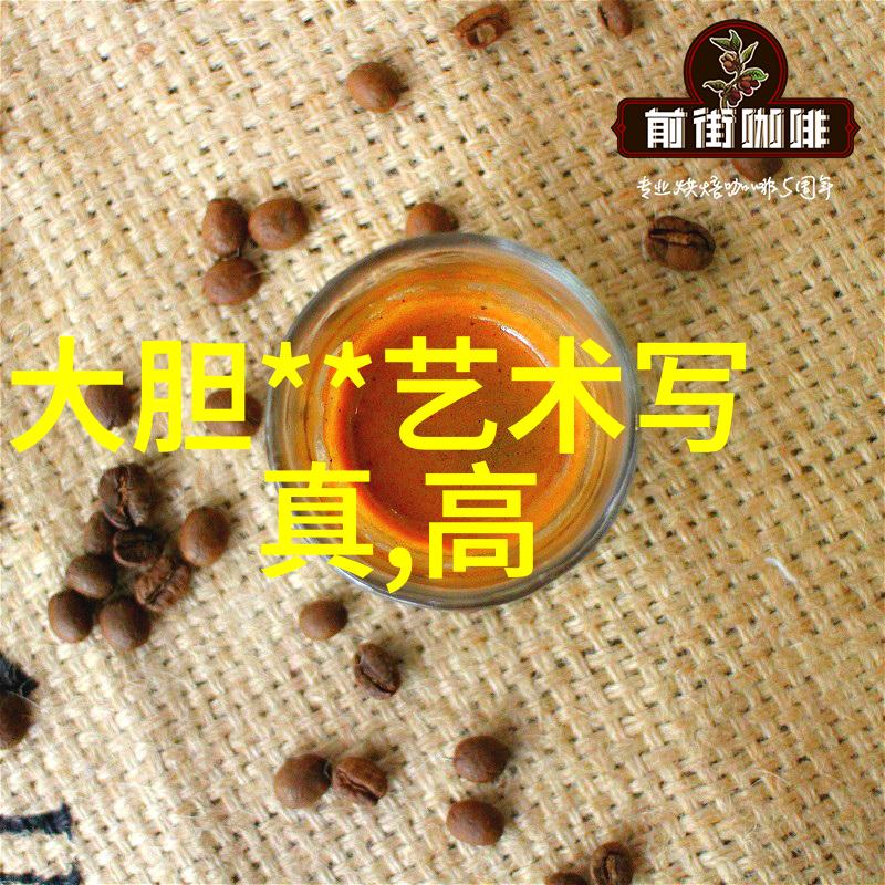 有无免费版或者开源版本可以用于初学者学习和尝试使用吗