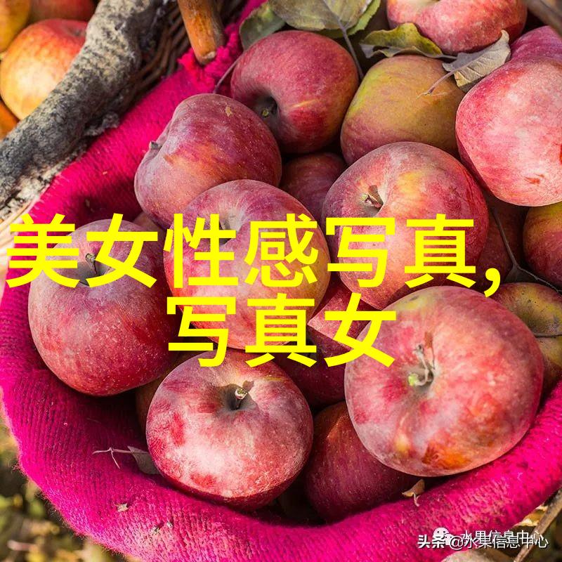改变视角发现世界摄影师如何用写真说话