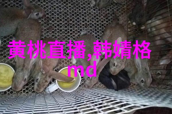 揭秘无损mp3歌曲免费下载库背后的技术与法律风险