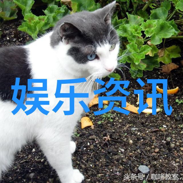 修身养性运用先后天八卦数字对照图的心灵抚慰法则