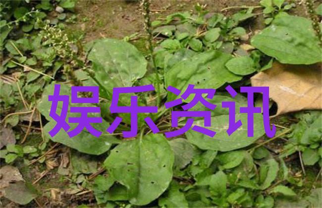 大胆艺术写真的边界在哪里