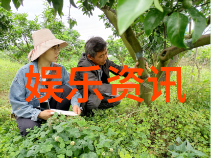 美丽的他小说TXT我和他的故事穿越文字的美丽篇章