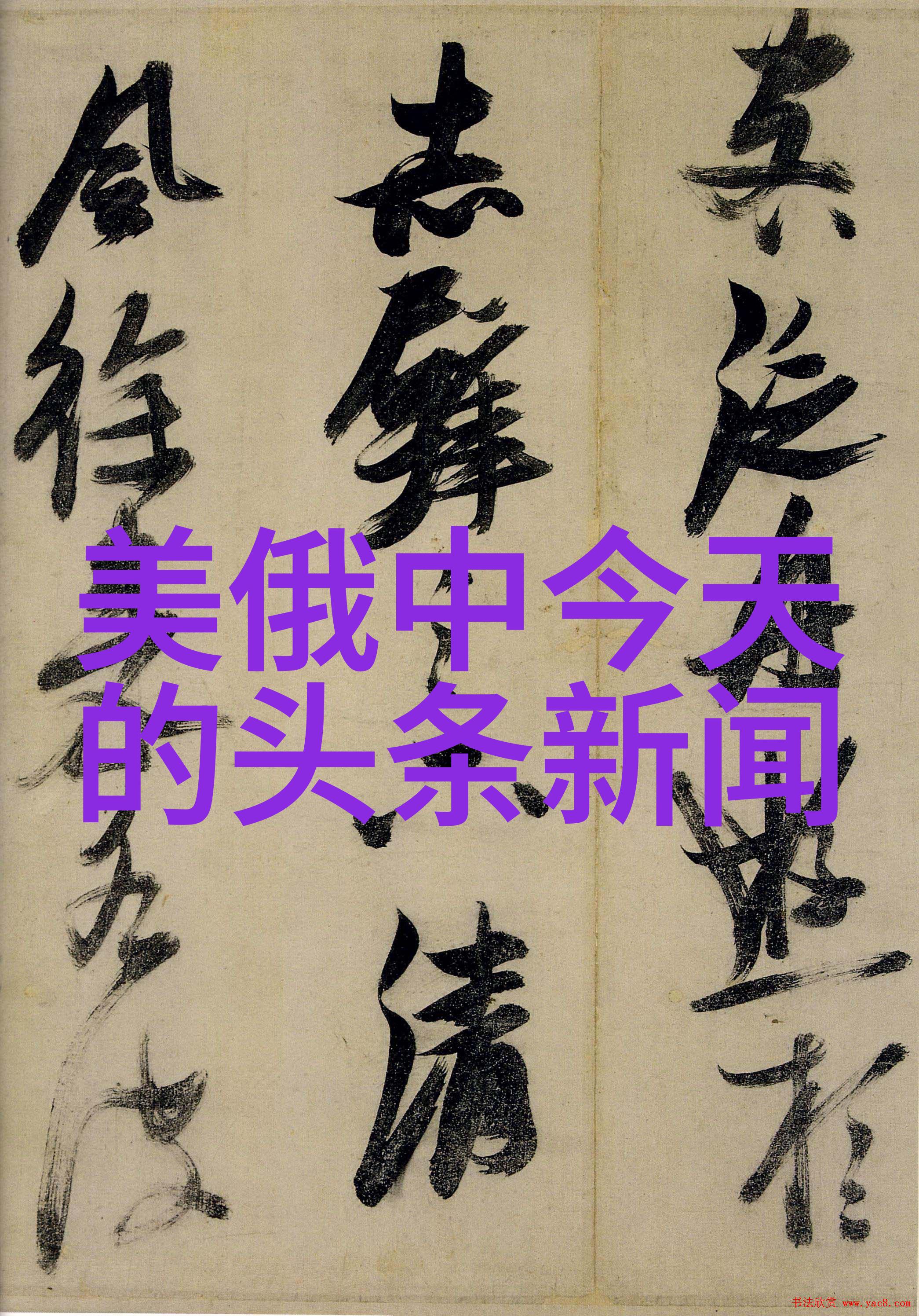 电影娱乐八卦红毯盛宴星光闪耀的影后之战