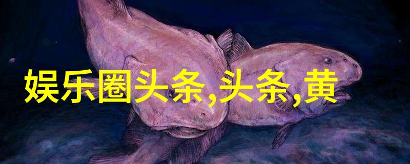 快捷阅读体验探索今日头条极速版的秘密