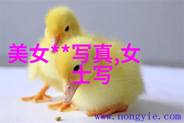 游戏音乐舞蹈快乐元素丰富的养生级K-综艺推荐
