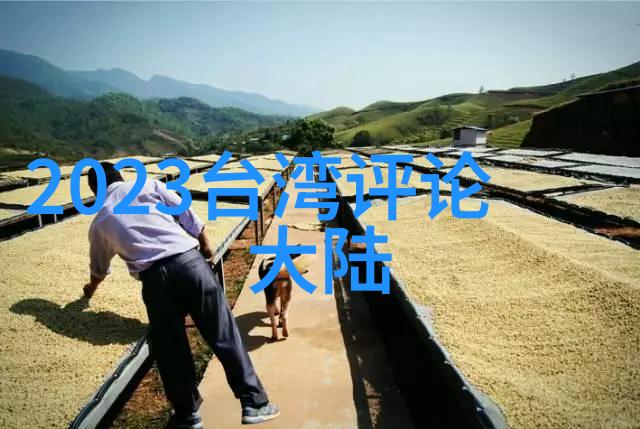 乱小说目录全文-乱世佳人一部经典乱伦小说的深度解析与全文目录