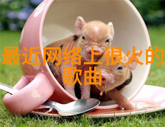 娱乐八卦 高圆圆为什么被叫做炮台解析她独特的演艺魅力与外貌特征