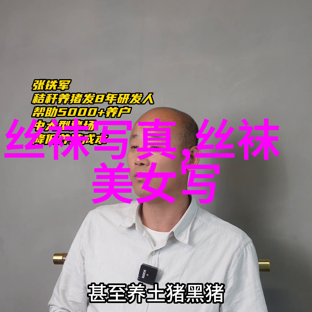 家风传承爸爸当家2探索新时代家庭价值观