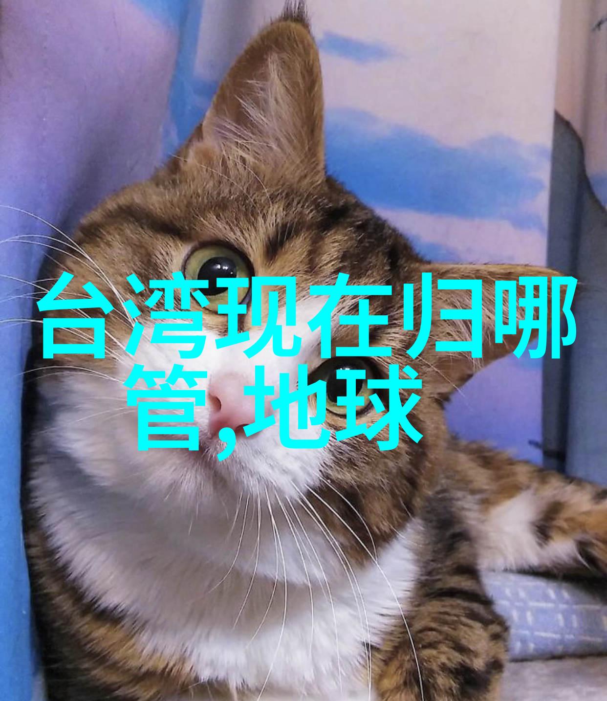 主题我眼中的易阳写真一段岁月的温柔回忆