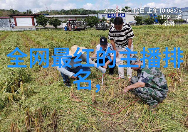 沙海主题歌曲解析如何通过音乐感受到时代脉动