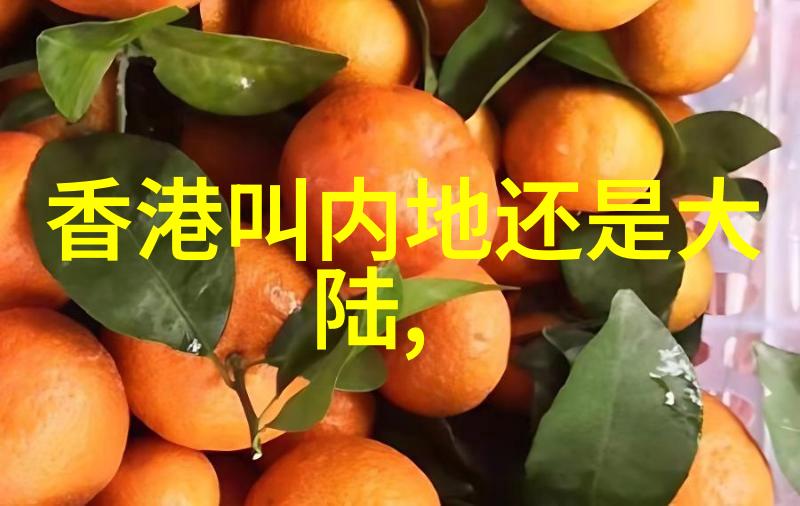 海鲜美食的香浓传说百度云上的蜜汁炖鱿鱼秘诀