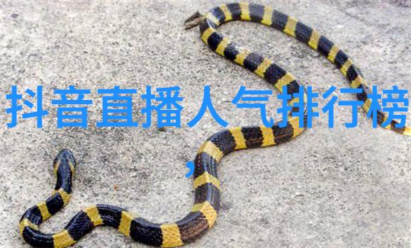 融入自然忘却烦恼拍摄心态淡定的美景技巧分享