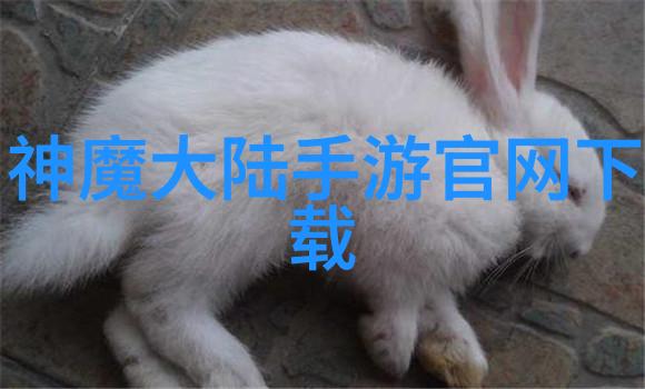 娱乐圈的新宠儿探索综艺节目的魅力与影响力