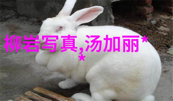 风中携带着他的身影我的口袋里空无一物只有对他的深深思念