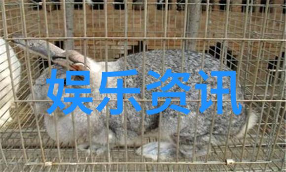 台湾终于传来好消息我朋友们你们都听说了吗台湾的经济复苏正在步入正轨从出口增强到内需回暖这些都是我们期
