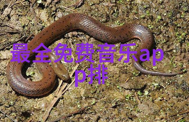 娱乐圈巨擘遭打脸张梓峰在红馆事件后公开声明表达对李泽楷的不满慰问无果经济援助一无所获